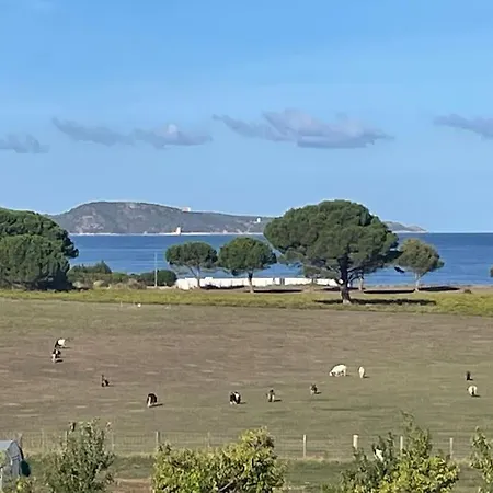 De Standing Avc Vue Mer- Florent Lejlighed Saint-Florent (Corsica)